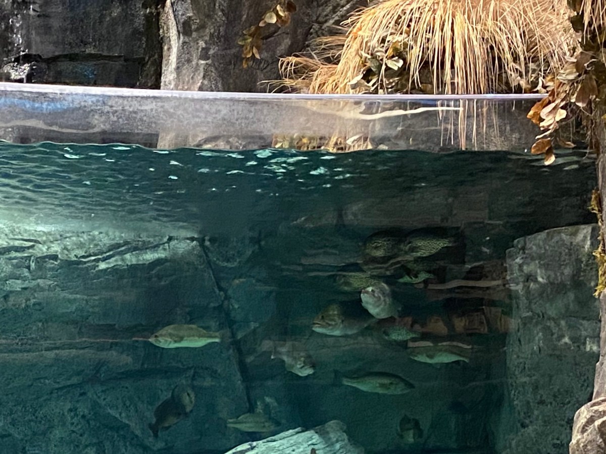 Sputtering Along, or is it&nbsp;Languishing?