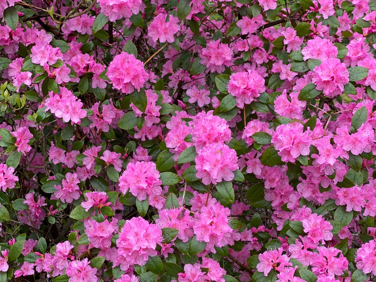 How Do We Know If We’ve Completed Our Life&nbsp;Purpose?